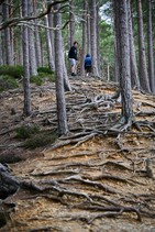 dsc_3012c.jpg