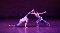dsc_4023c.jpg