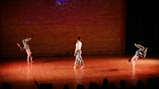 dsc_4372c.jpg