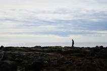 dsc_0731c.jpg