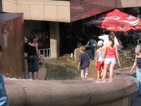 img_3916.jpg