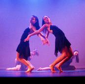 img_7641c.jpg