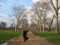 img_8162.jpg