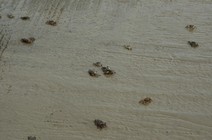 dsc_0121.jpg