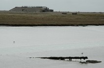 dsc_0149.jpg