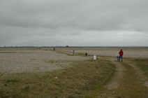 dsc_0176.jpg