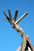 dsc_1981rc.jpg