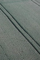 dsc_2167r.jpg