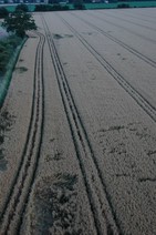 dsc_2178r.jpg