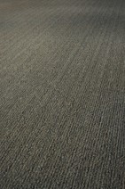 dsc_2179r.jpg
