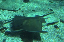 dsc_3275n.jpg