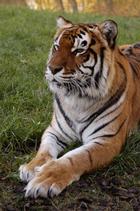 dsc_3575c.jpg