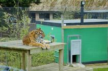 dsc_3674c.jpg