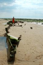dsc_6097c.jpg