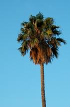 dsc_8431c.jpg