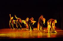 dsc_2447c.jpg