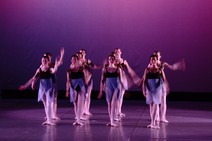 dsc_4772c.jpg