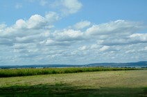 dsc_7833c.jpg