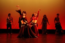 dsc_5388c.jpg