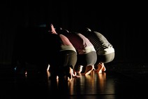 dsc_9931c.jpg