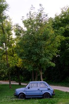 dsc_5402c.jpg