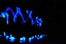dsc_9869c.jpg
