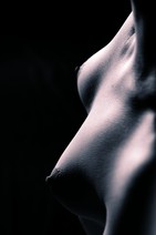 dsc_3523b2.jpg