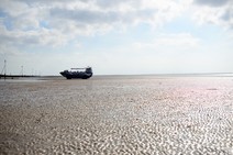 dsc_8142c.jpg