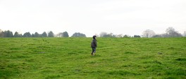 dsc_5537c2.jpg