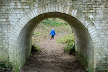 dsc_5996c.jpg