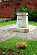 dsc_8619c.jpg