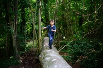 dsc_4891c.jpg