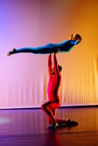 dsc_0790c.jpg