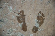 dsc_1112c.jpg