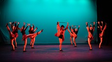 dsc_7707c.jpg