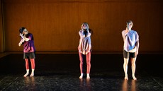 dsc_6847c.jpg