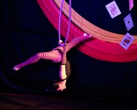 dsc_1609c.jpg