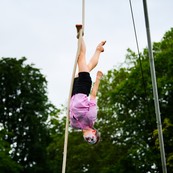dsc_9208c.jpg