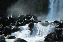 dsc_9677c.jpg