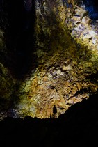 dsc_0203c.jpg