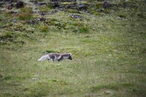 dsc_0284c.jpg