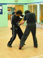img_6238r.jpg
