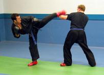 img_6977c.jpg
