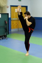 dsc_3145c.jpg